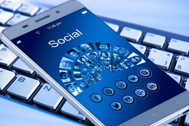 La protection de la vie privée et la sécurité des données sur les réseaux sociaux